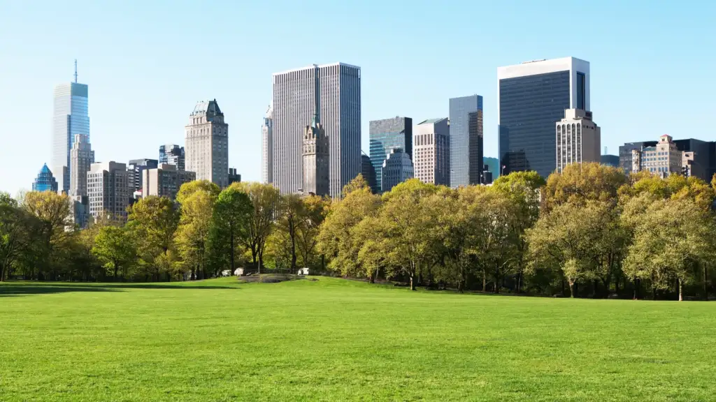 a vast green expanse in the heart of manhattan, central park features winding paths, open lawns, and tree-lined walkways surrounded by new york city's towering skyline.