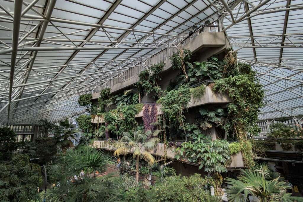 view of plants covering a concrete apartment structure