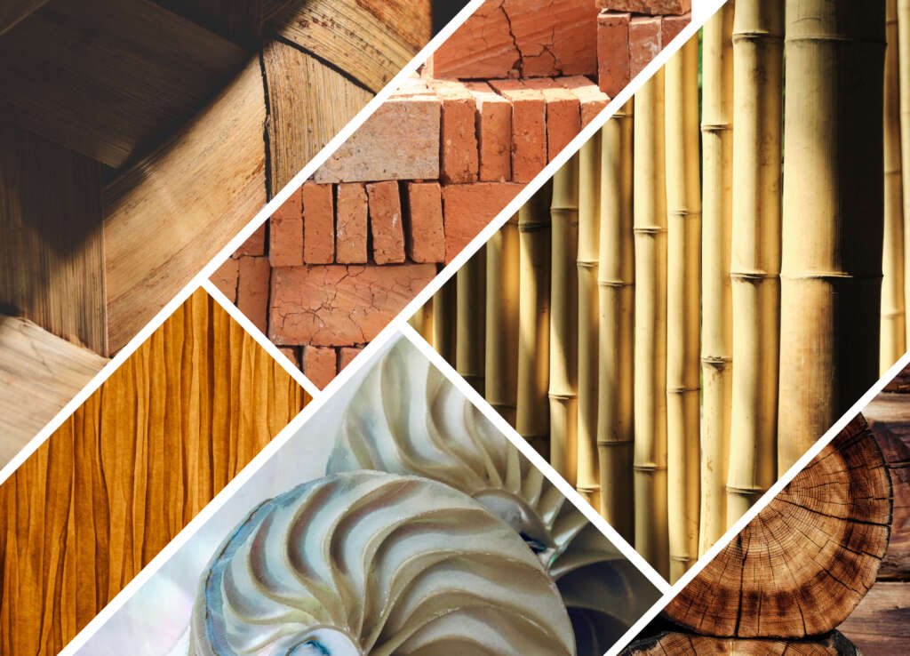 locally available materials illustrating their role in sustainable design, cultural preservation, and architectural creativity