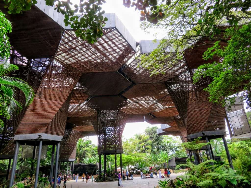 a canopy of giant wooden flower structures blending architecture with nature in the botanical gardens - oneil williams